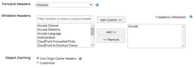 Specifying Accept header in AWS console